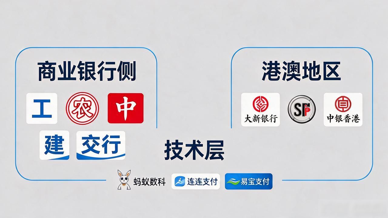 数字货币桥参与公司有哪些？跨境支付新赛道上谁真正搭上了车